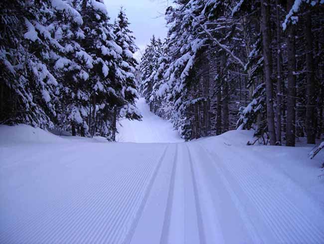 Perfectly groomed tracks heading out MacLeod's Mile