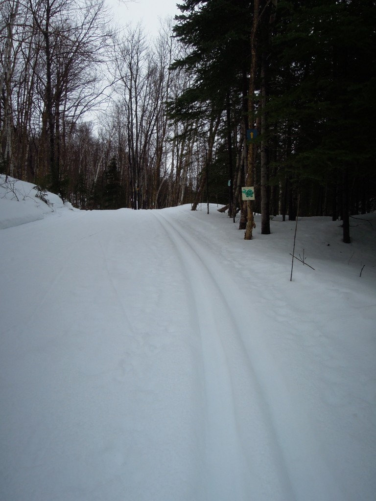 DSCN1446
